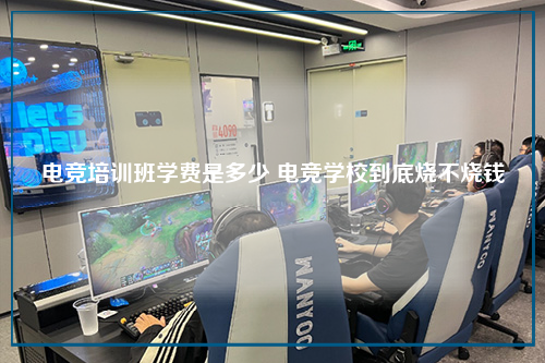 电竞培训班学费是多少 电竞学校到底烧不烧钱